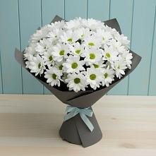 Букет цветов из:  Хризантемы #REPLACE_PRED# Одесском