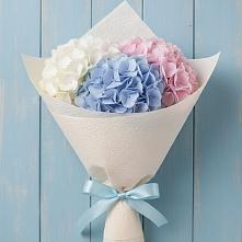 Букет цветов из:  Гортензия в Одесском
