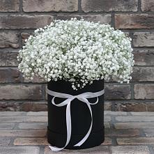 Цветочная композиция из Гипсофила в шляпной коробке в Одесском