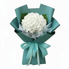 Букет цветов из:  Гортензия в Одесском